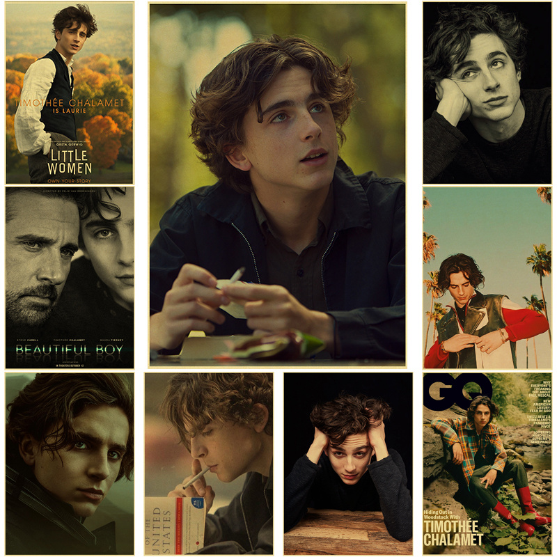 Timothee Chalamet Retro Canvas - đánh giá và giá Home Bar And Theater
